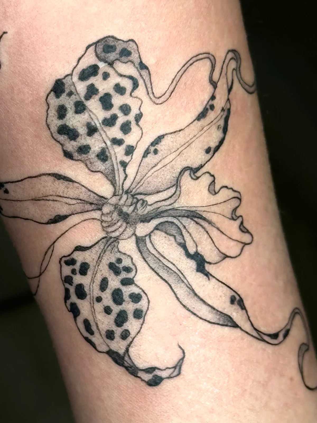 Lilith’s Tattoos dövme çalışması 9