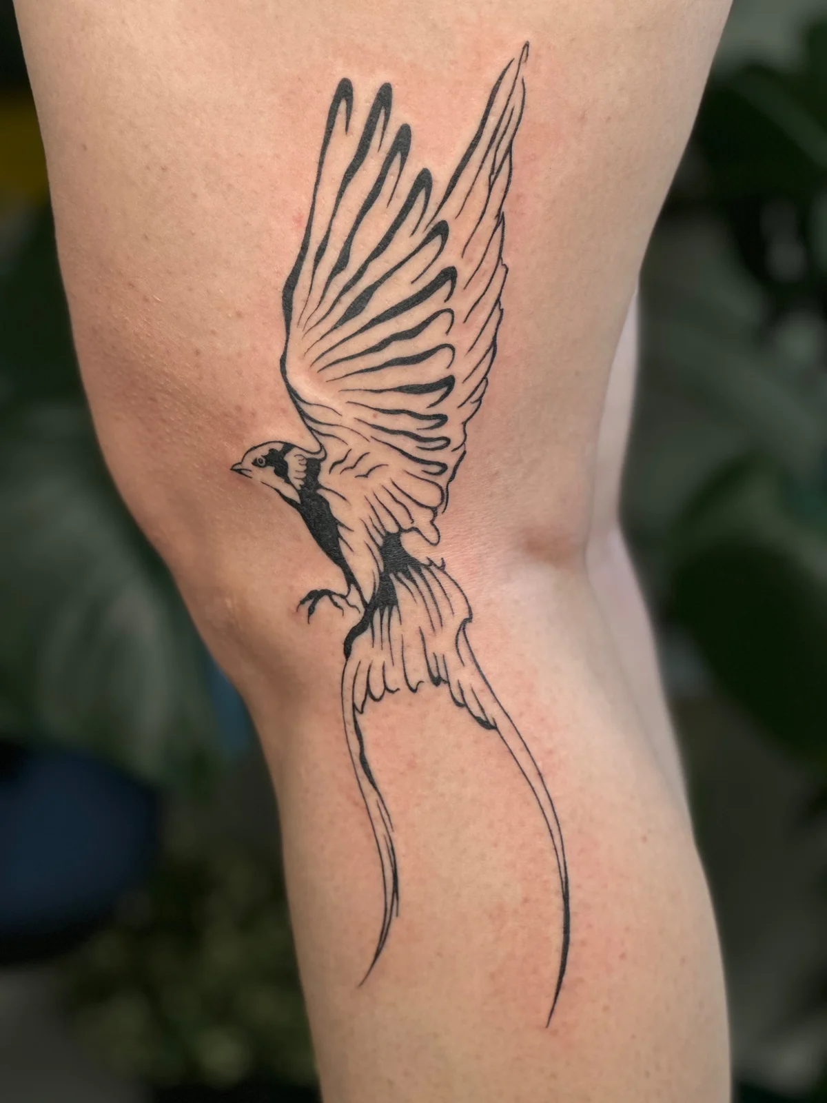 tattooerk dövme çalışması 2