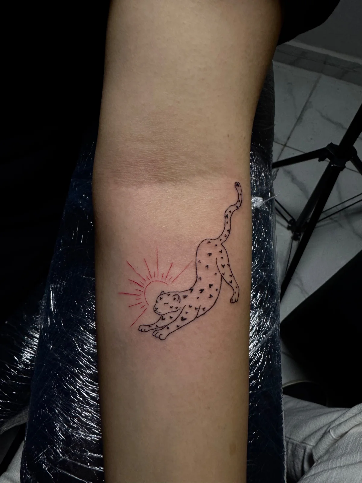 mest.ink çalışması 10